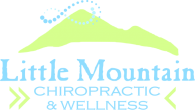 Little Mountain Chiropractic & Wellness